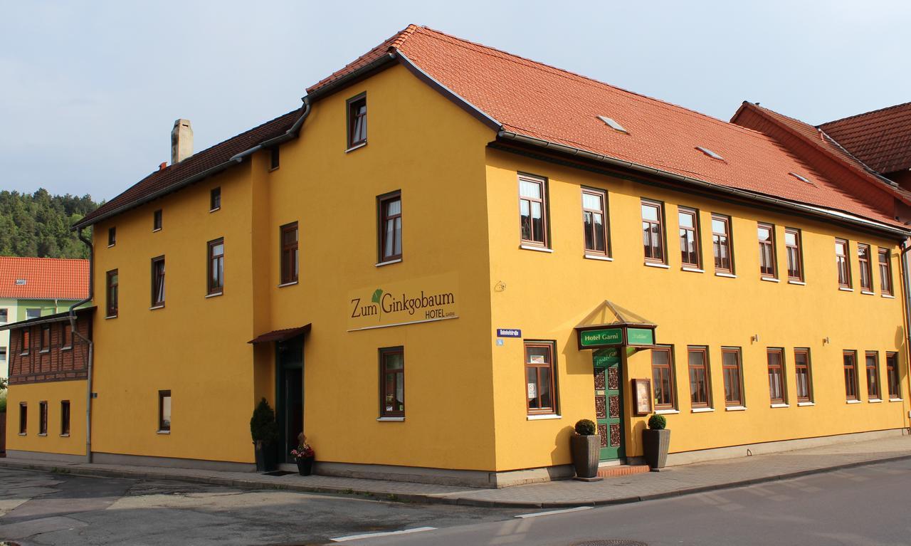 Hotel Zum Ginkgobaum Stadtilm Exterior foto